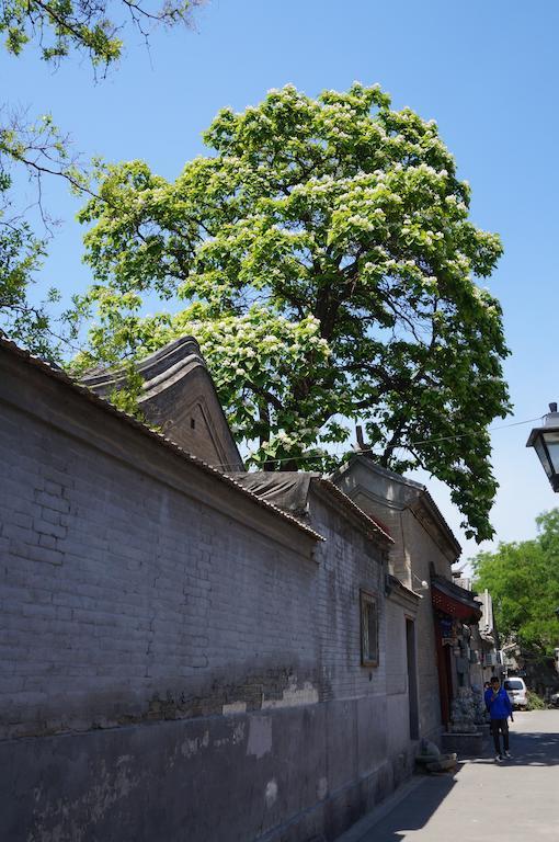 Songy Hundred-Year Courtyard Hotel Peking  Buitenkant foto
